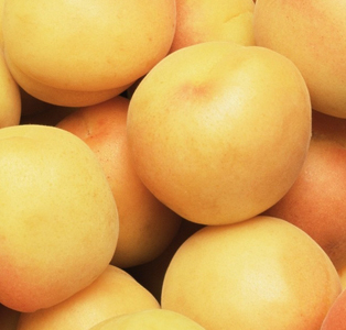полезные свойства овощей и фруктов, полезные свойства абрикосов