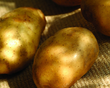 полезные свойства овощей и фруктов,  полезные свойства картофеля