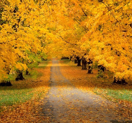 Красивые Осенние Пейзажи Фото Высокого Разрешения