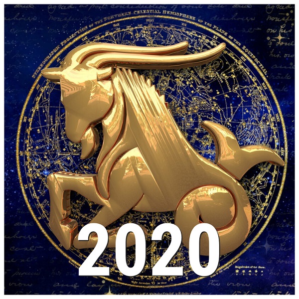 козерог - гороскоп на 2020 год, работа, карьера, любовь, отношения