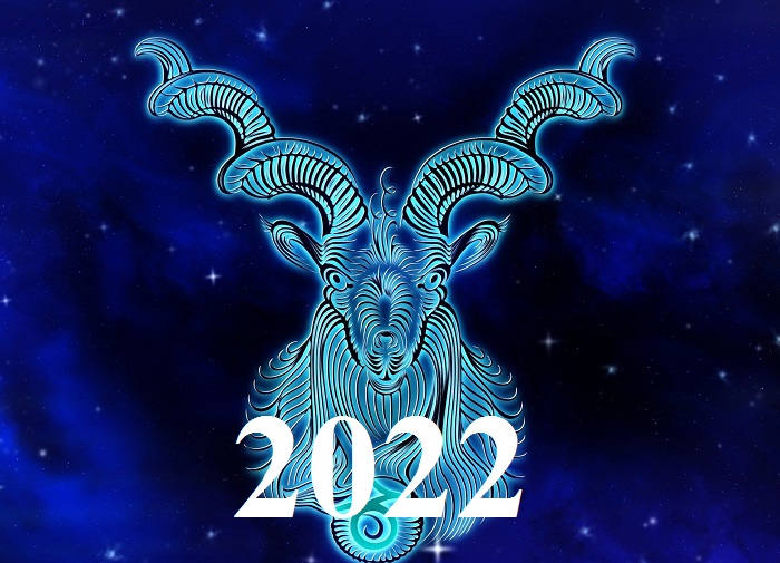 козерог - гороскоп на 2022 год
