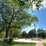 Парк усадьбы Шеншиных — место, где соединяются история и современность